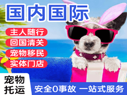 烟台空运国际宠物托运 【国